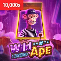 Phản hồi nhanh chóng và hiệu quả từ Combet Win